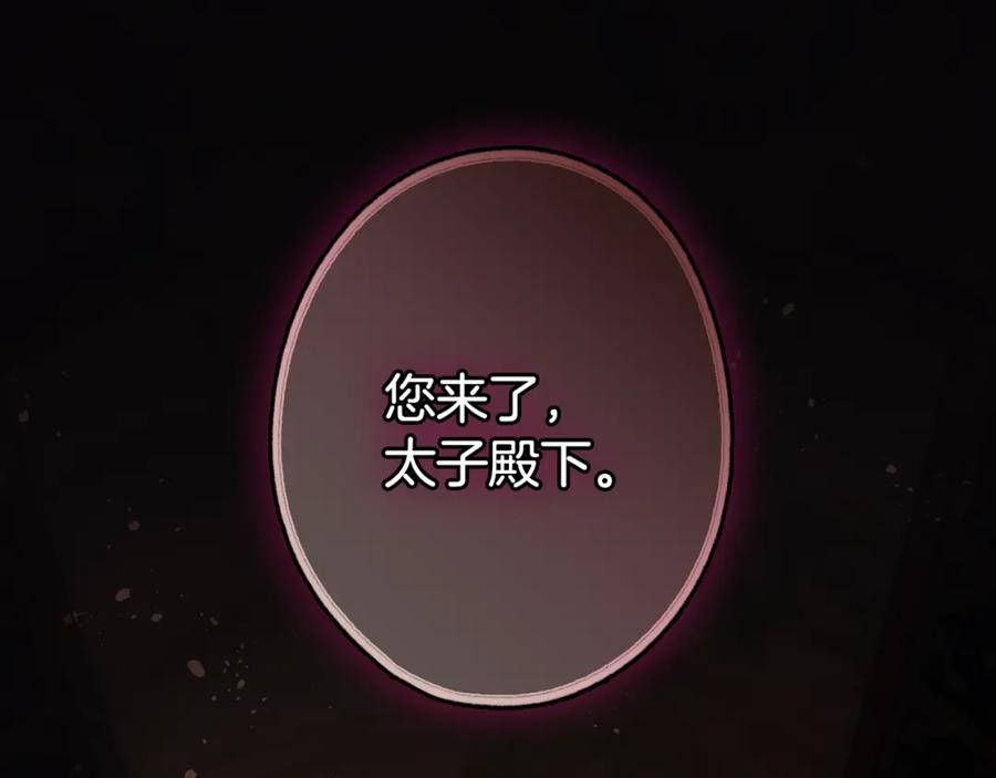 第214页