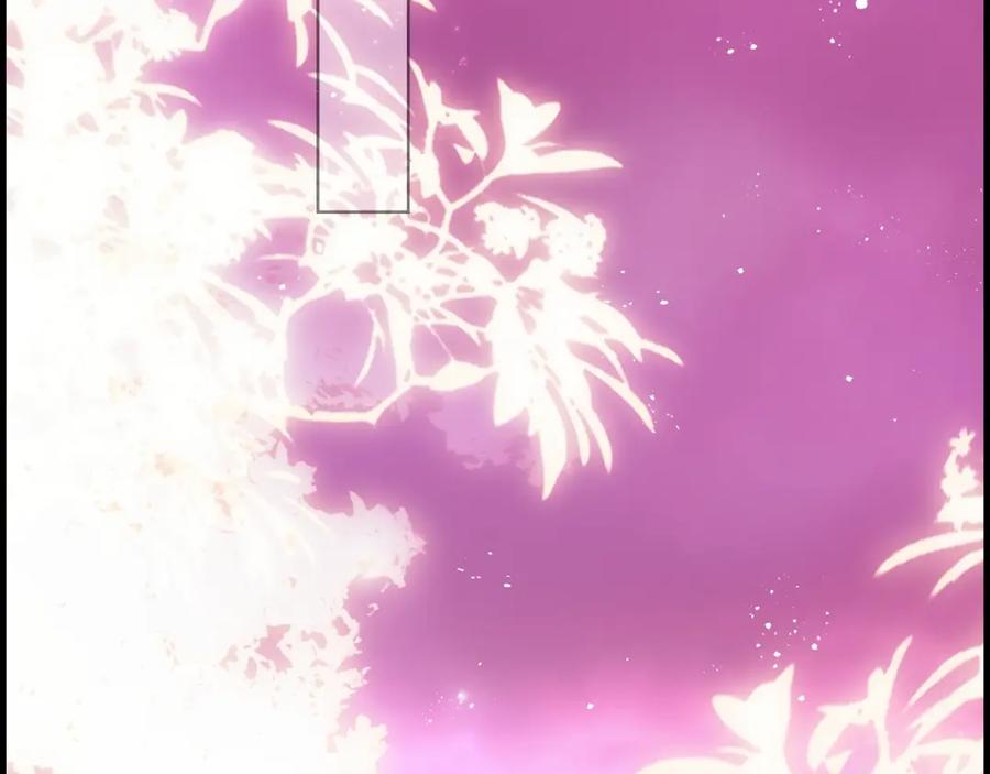 第223页
