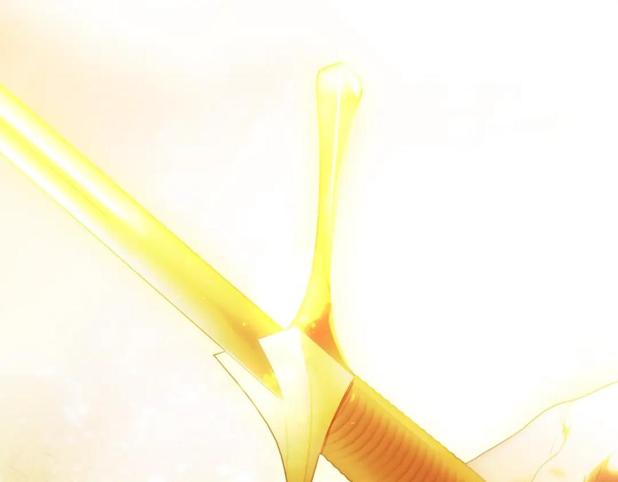 第224页