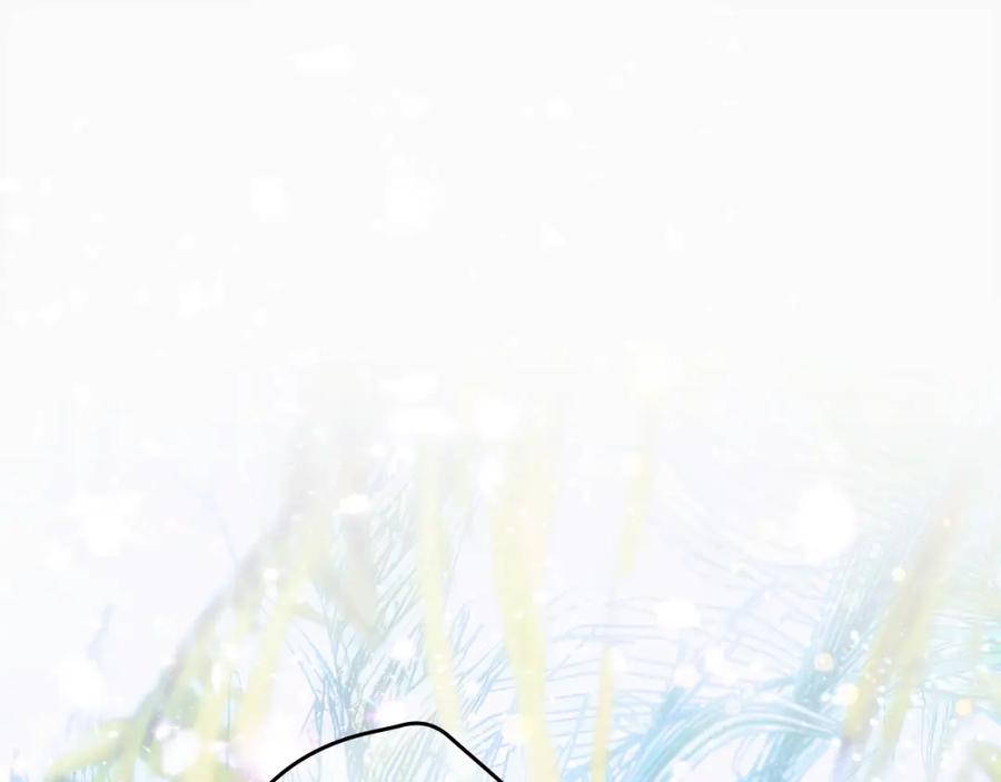 第254页