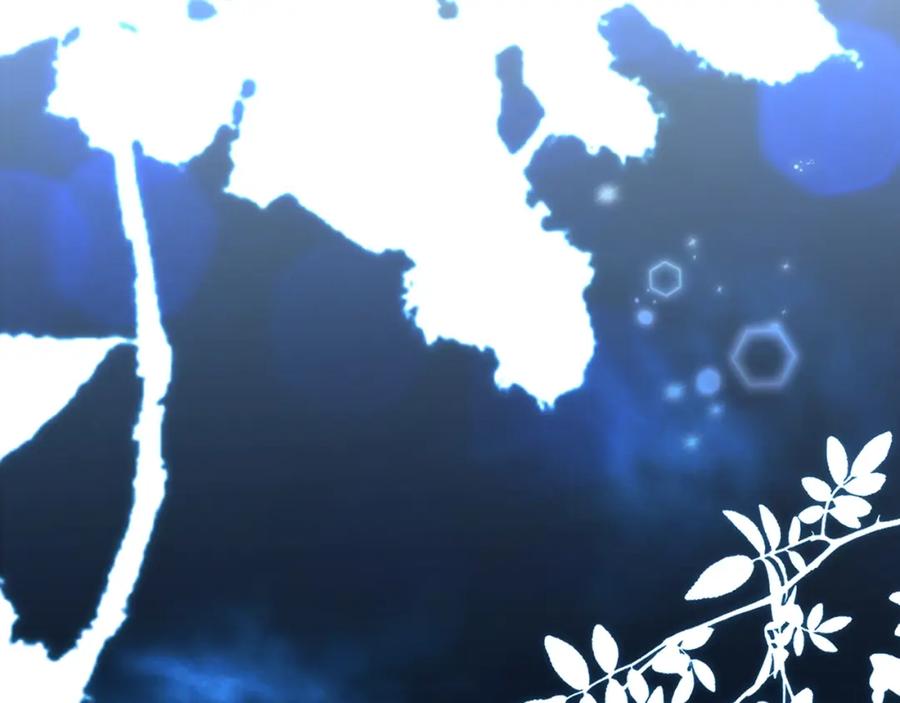 第260页