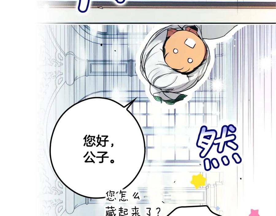 第206页