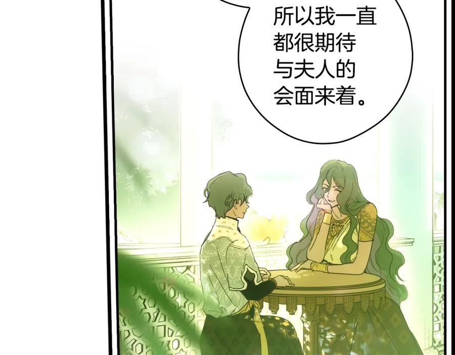 第223页