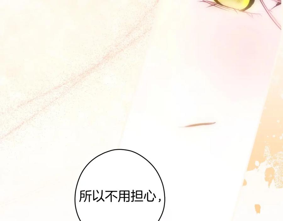 第223页