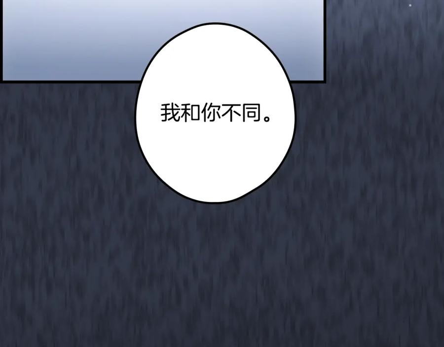 第223页