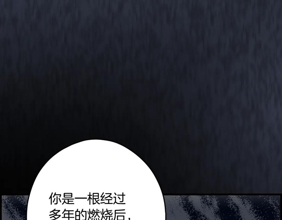 第224页