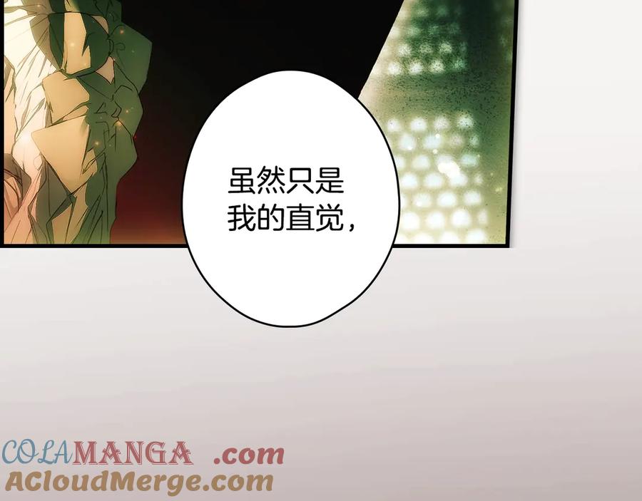 第205页
