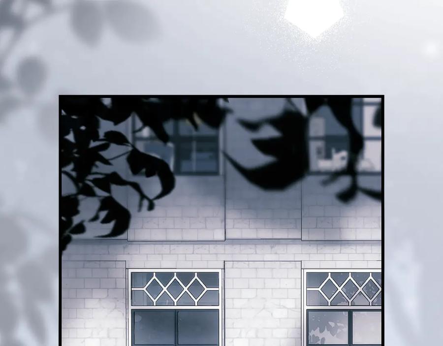 第247页