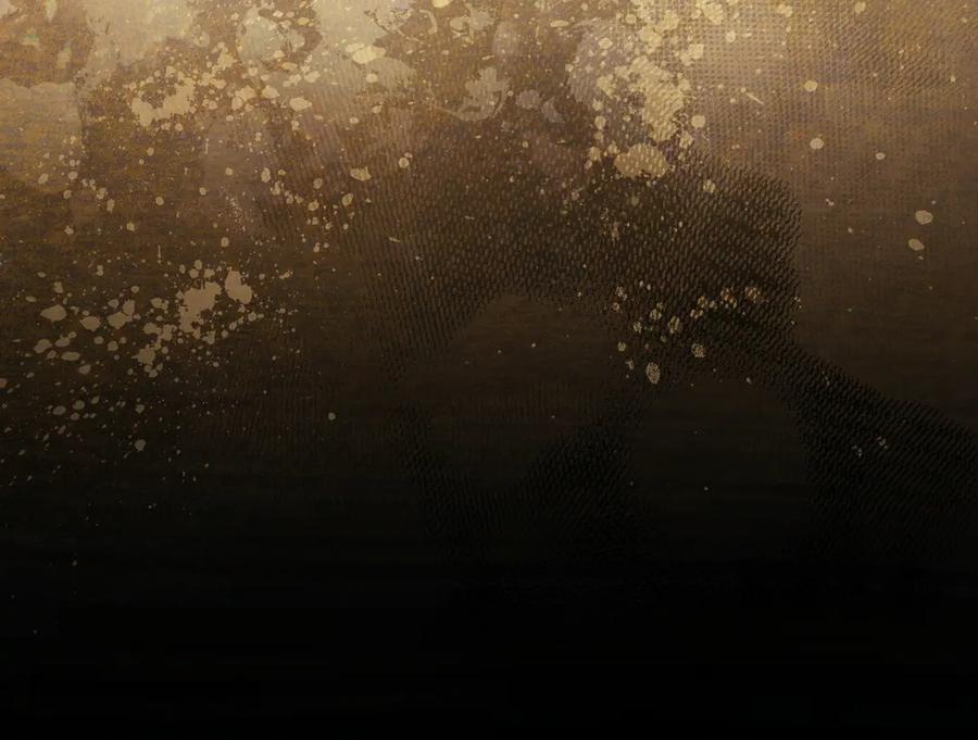 第251页