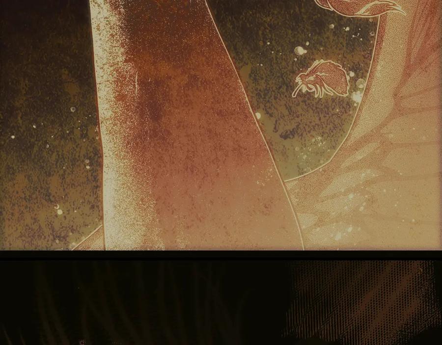 第264页