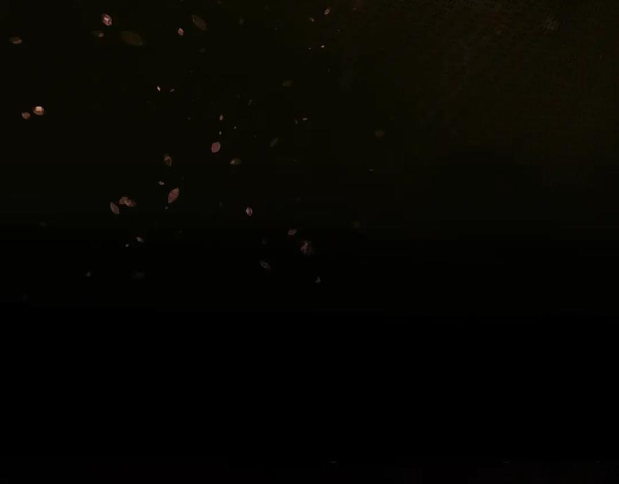 第267页