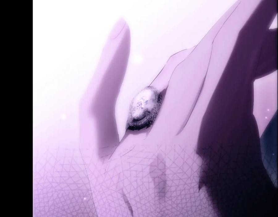 第259页