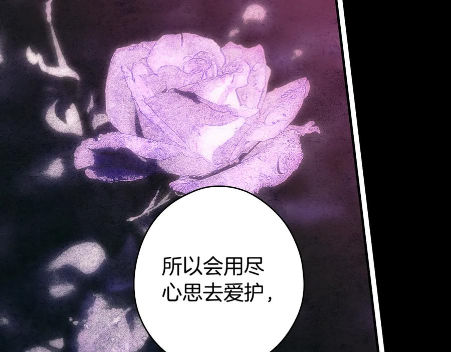 第271页