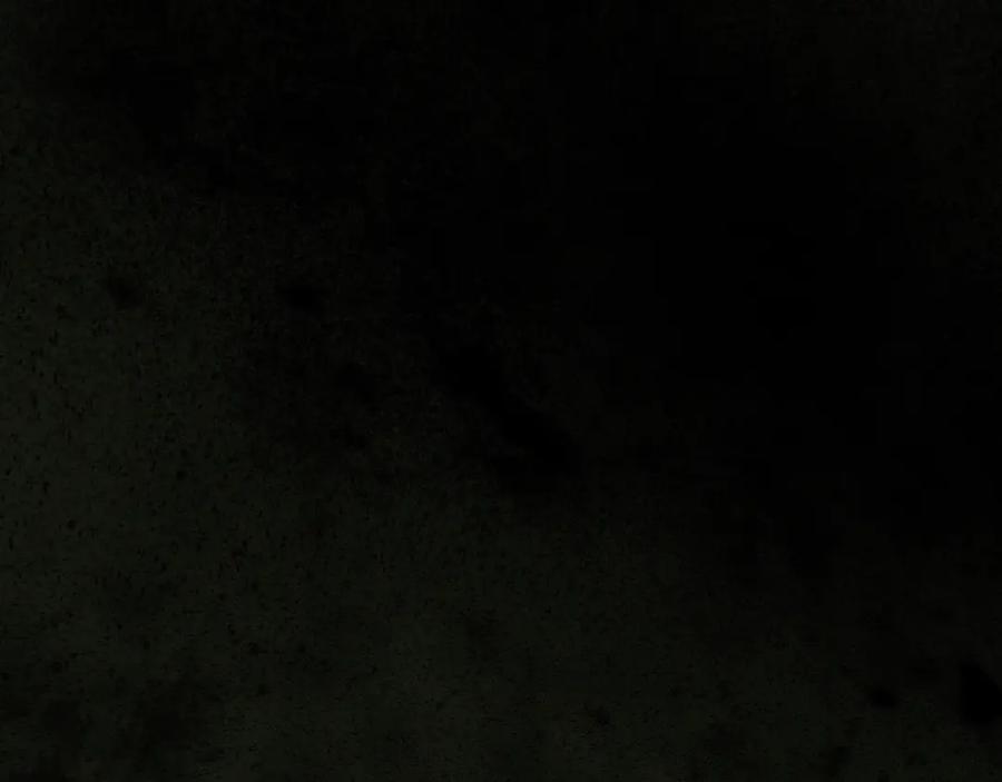 第320页