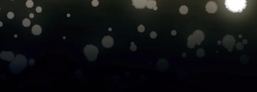 第215页