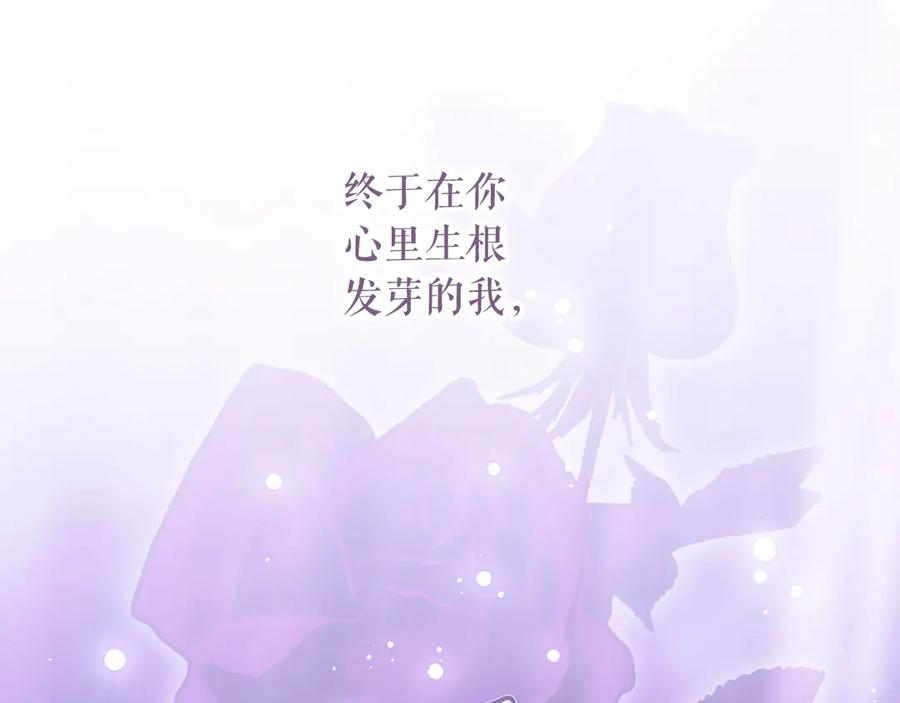 第256页