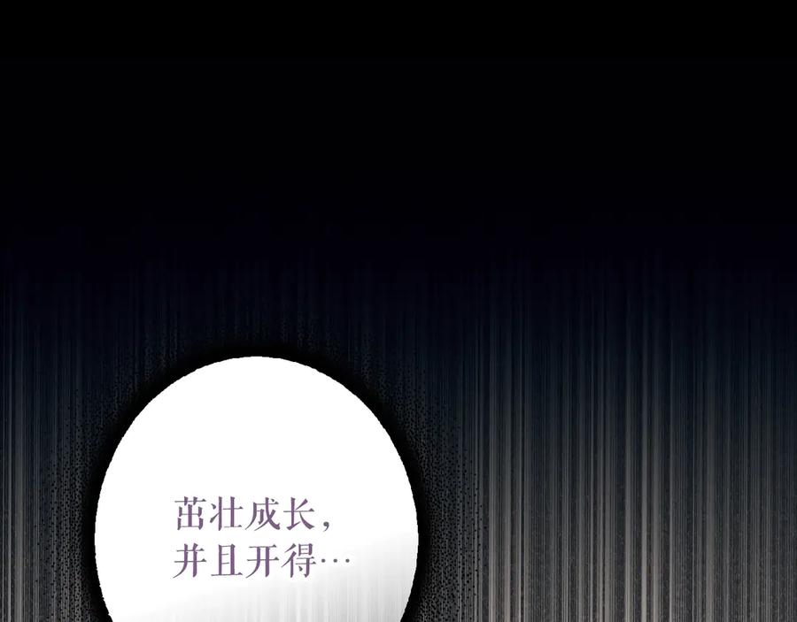 第258页