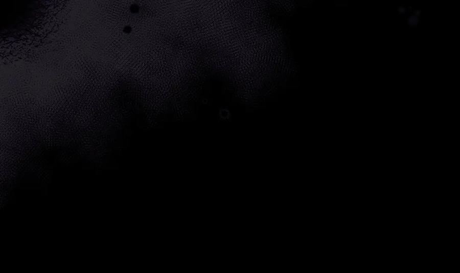 第198页
