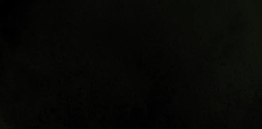 第319页