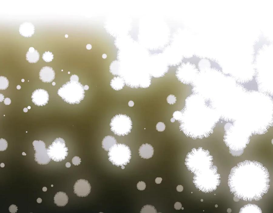 第214页
