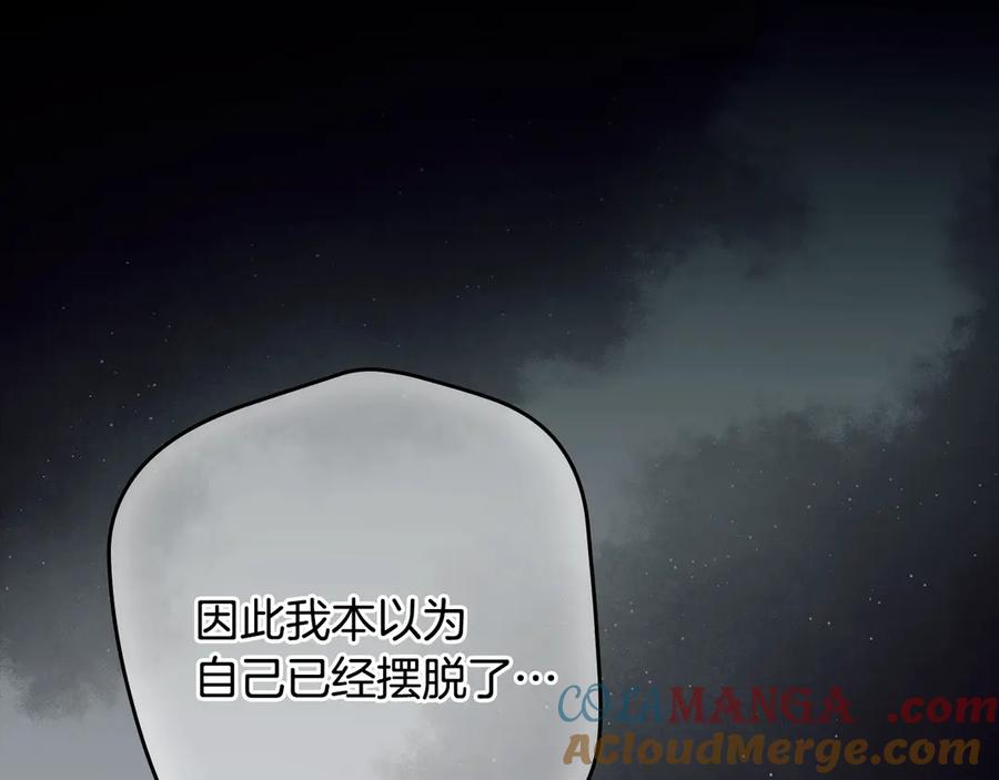第217页