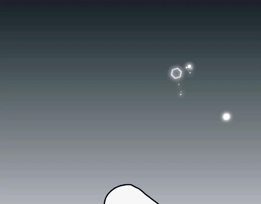 第224页
