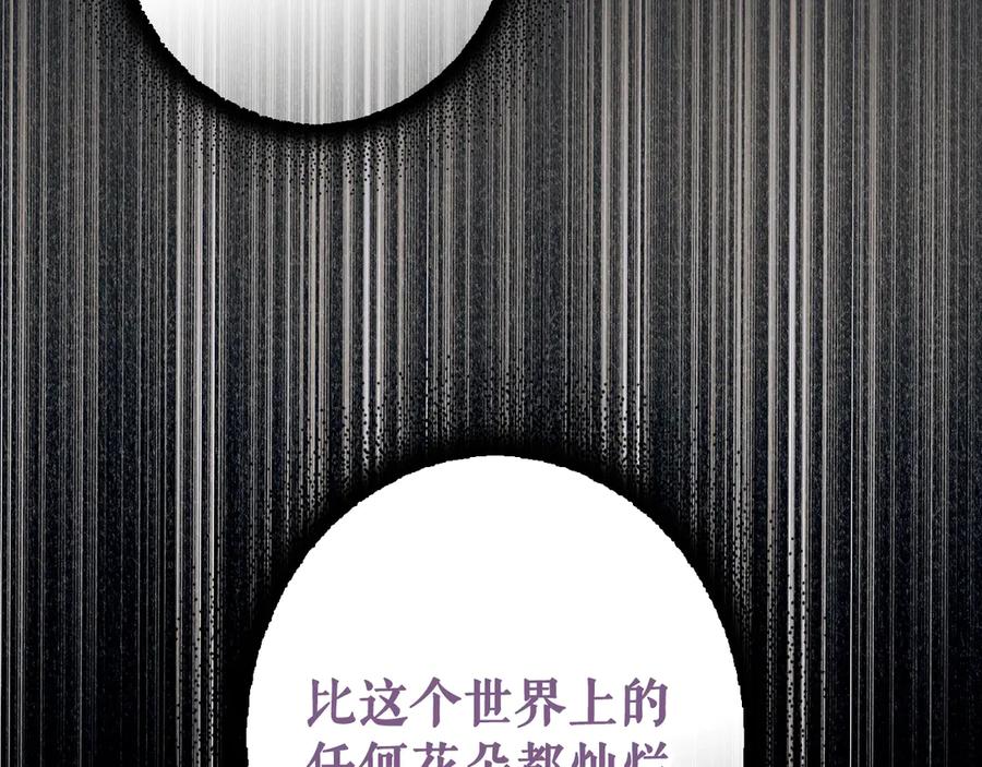 第259页