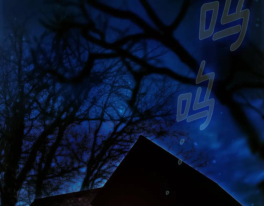 第204页