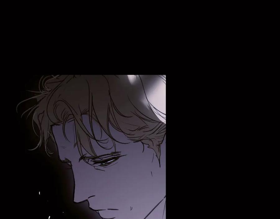 第323页
