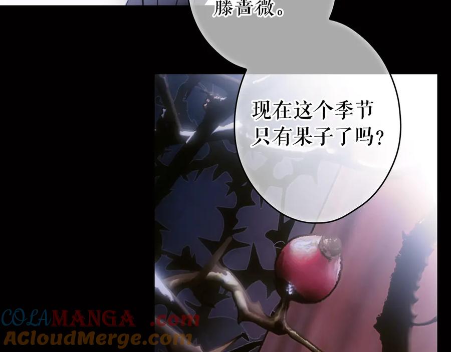 第325页