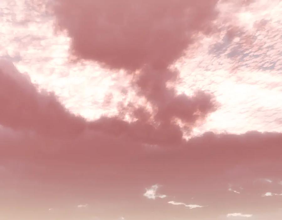 第238页