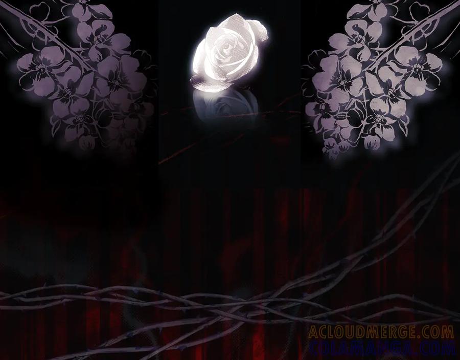 第185页