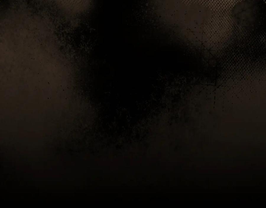 第215页
