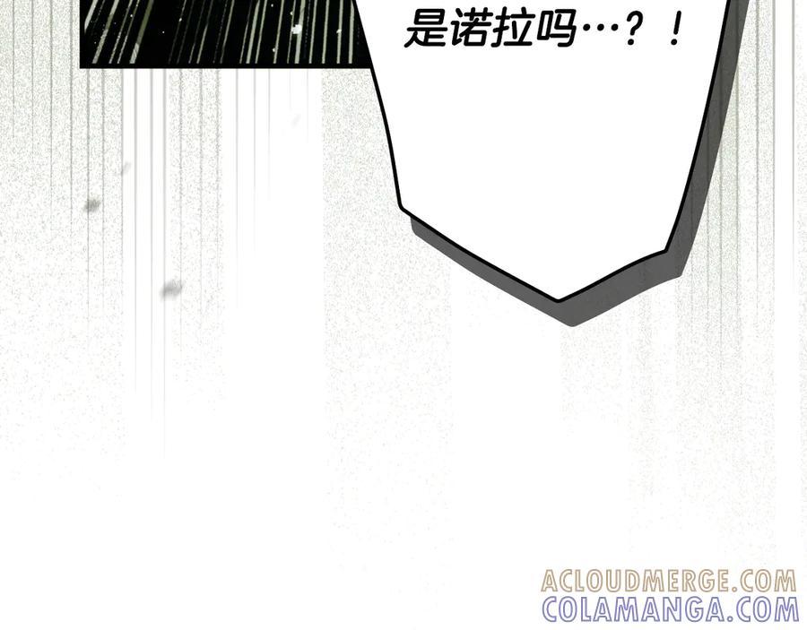 第221页
