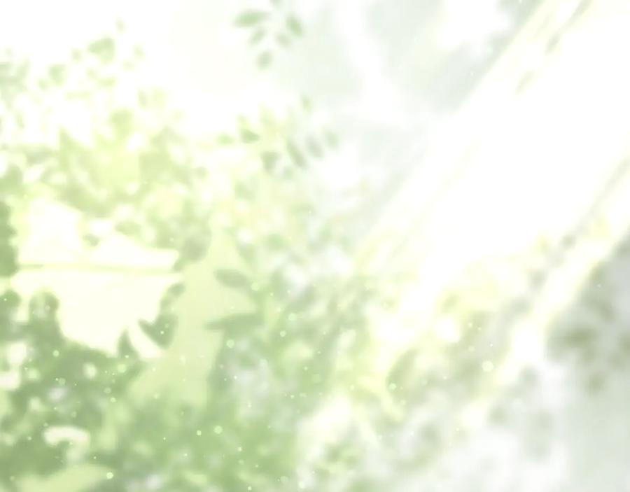 第236页