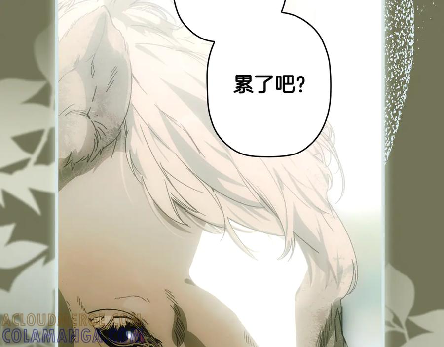 第257页