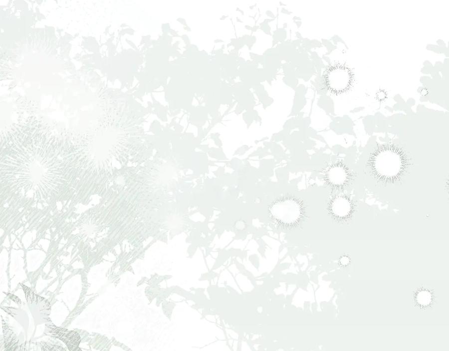 第260页
