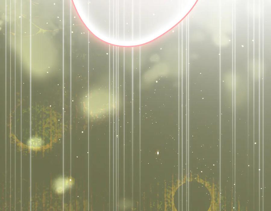 第223页