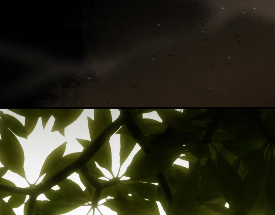 第252页