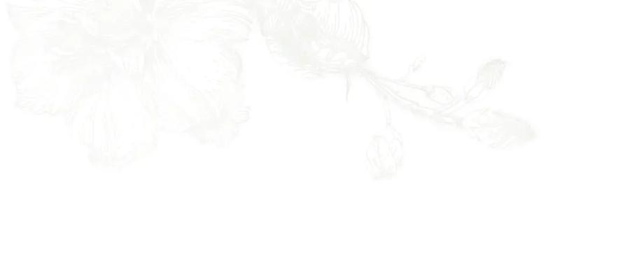 第316页