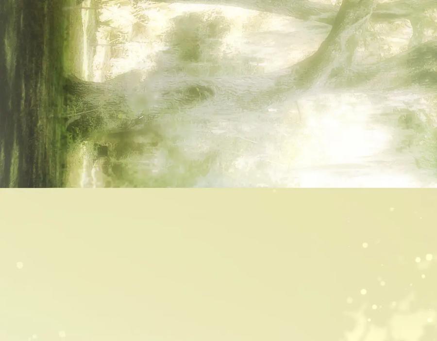 第342页