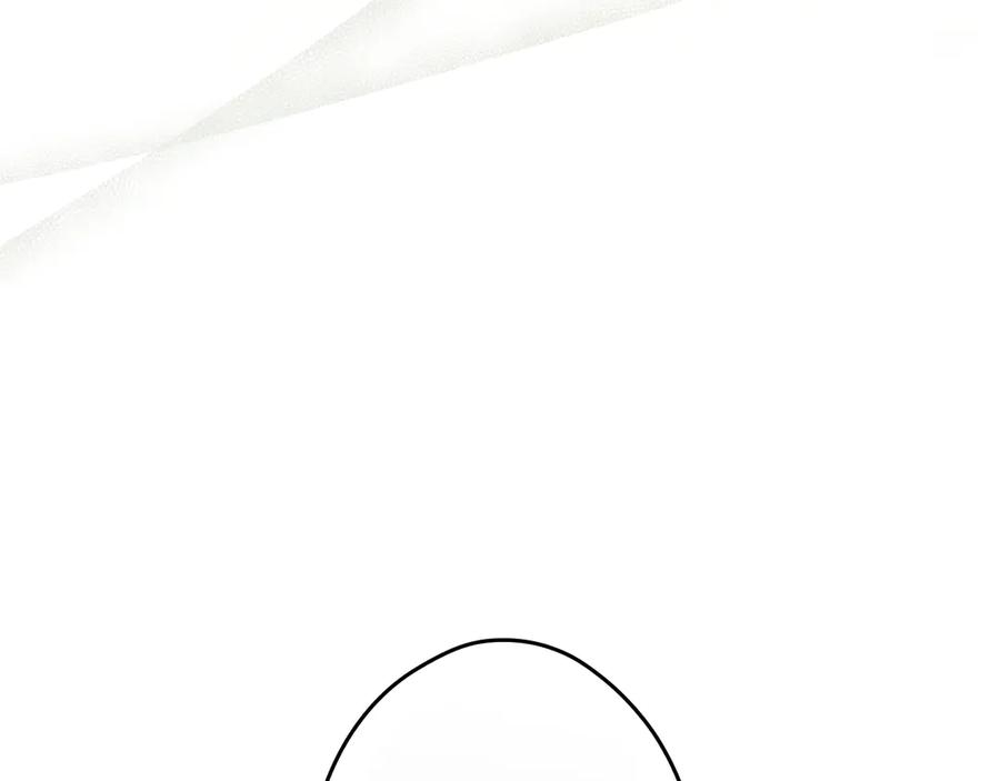 第238页
