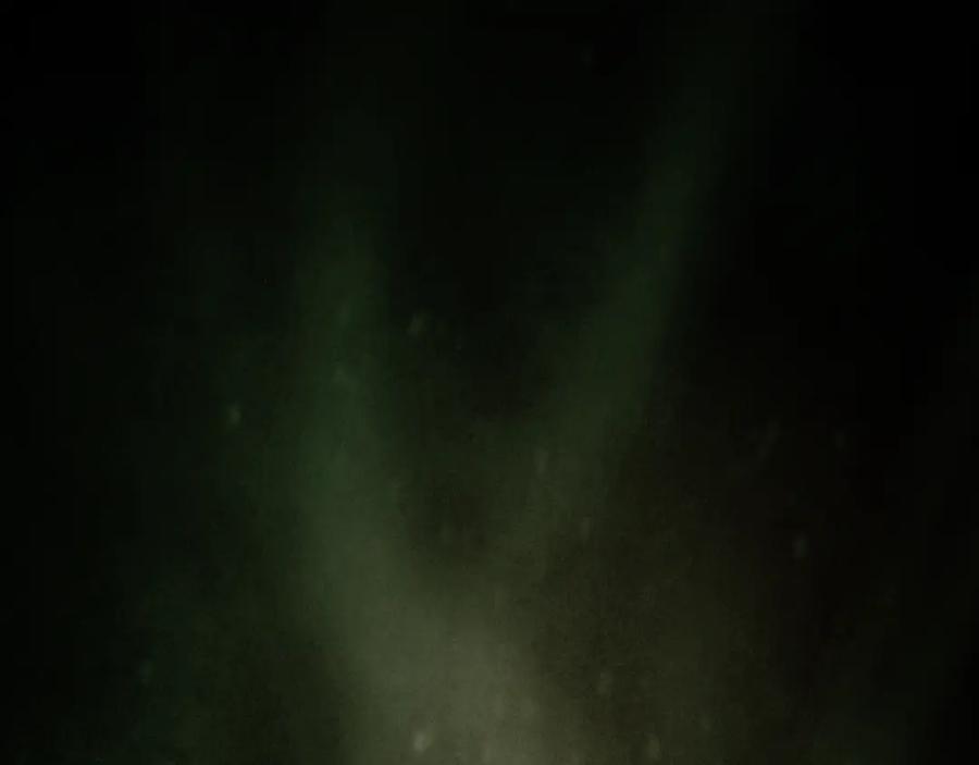 第250页