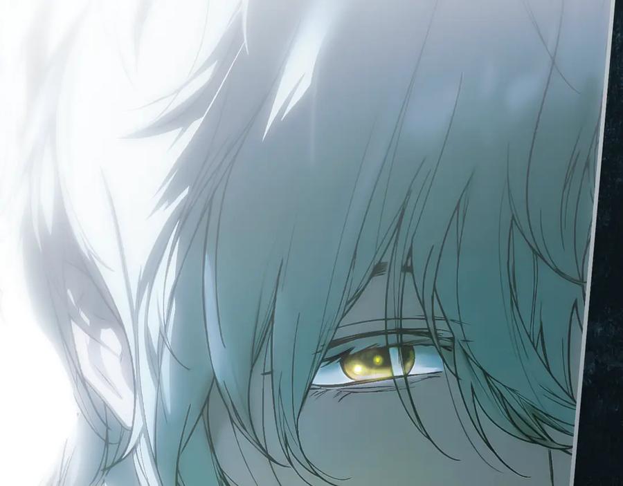 第224页