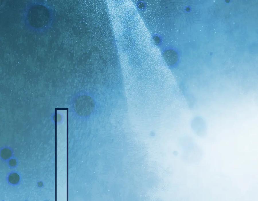 第286页