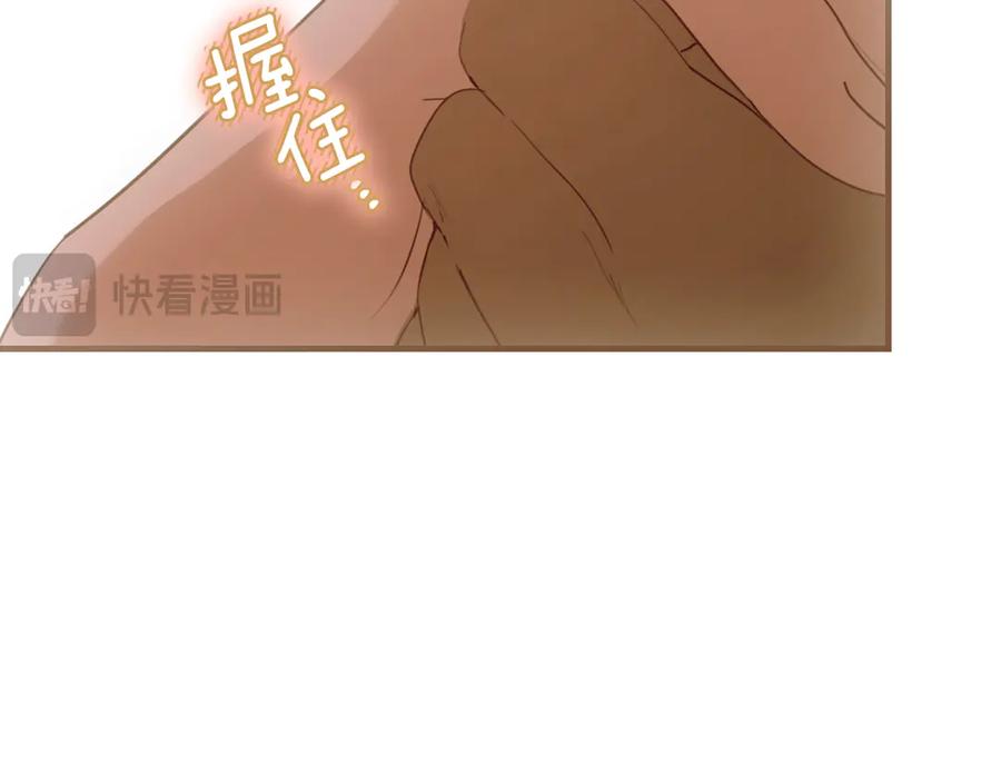 第231页