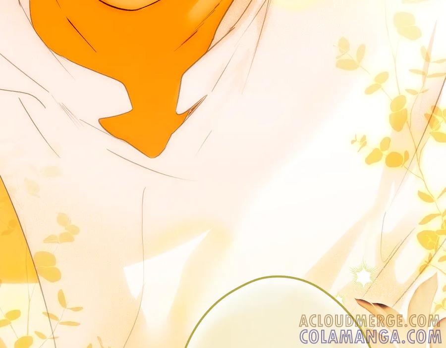 第245页