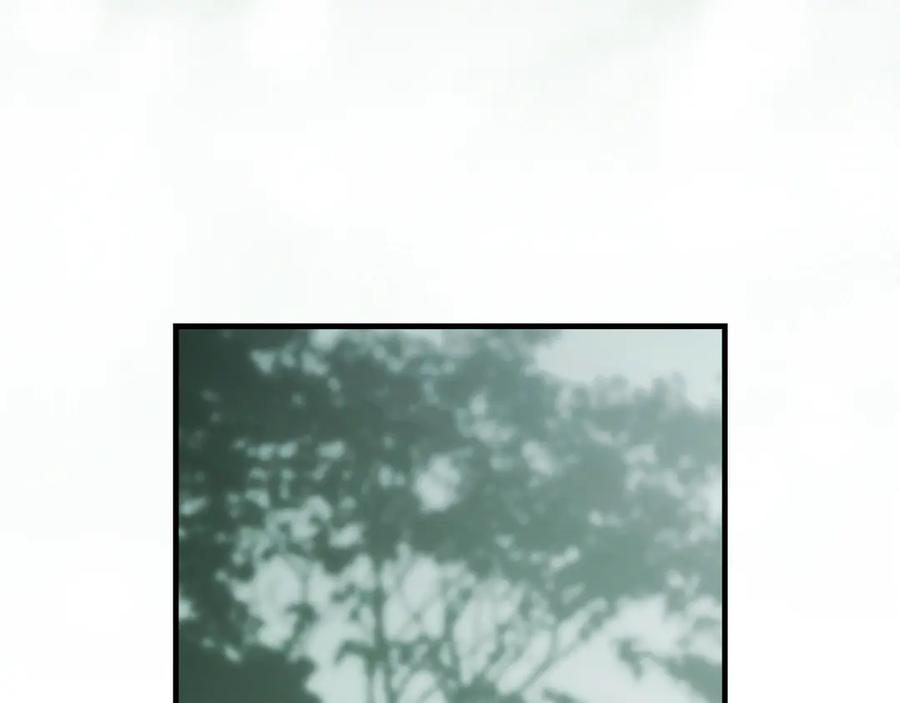 第256页