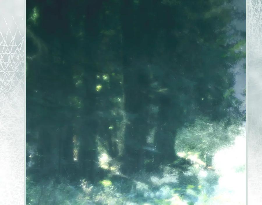 第267页