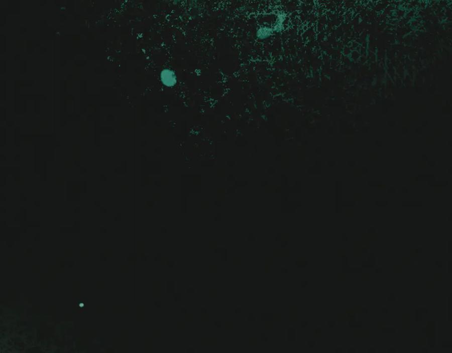 第272页